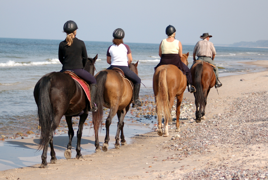 9 of the Best 2022 Beach Horseback Riding Destinations in the United